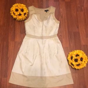 Closet Clean Out❗️The Limited Tan Dress